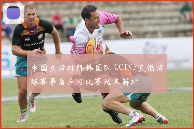 中国女排对阵韩国队 CCTV5直播排球赛事看点与比赛结果解析