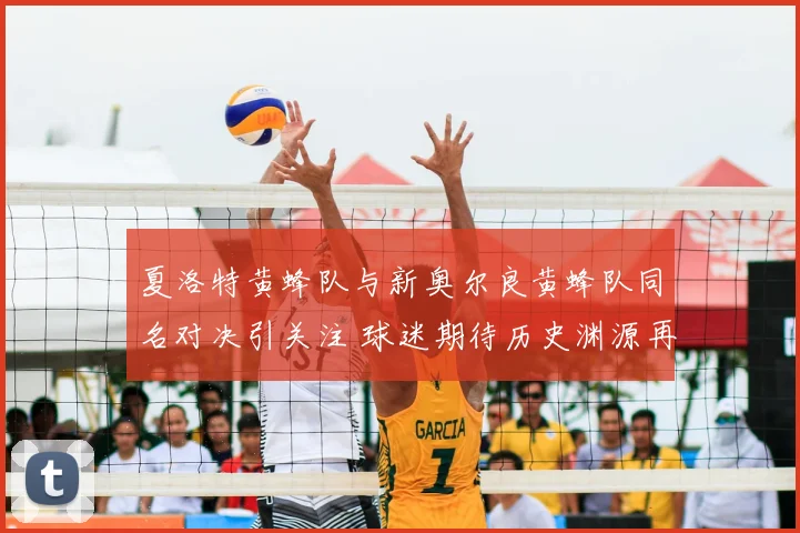 夏洛特黄蜂队与新奥尔良黄蜂队同名对决引关注 球迷期待历史渊源再被提起
