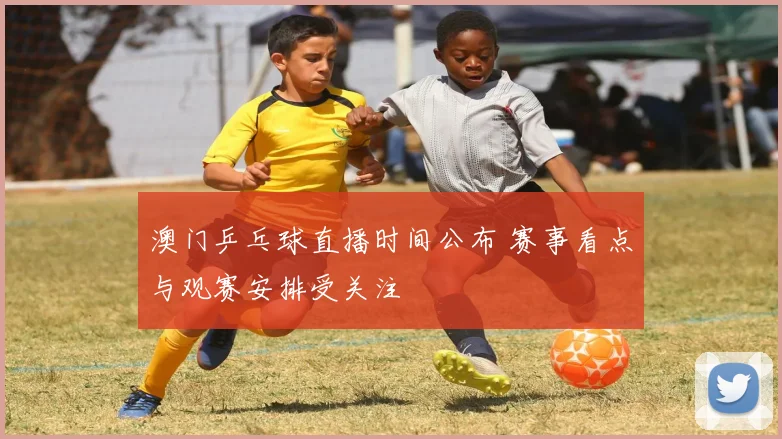 澳门乒乓球直播时间公布 赛事看点与观赛安排受关注
