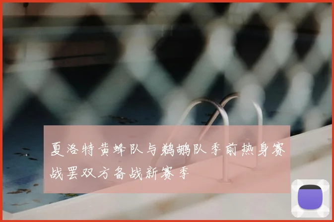 夏洛特黄蜂队与鹈鹕队季前热身赛战罢双方备战新赛季